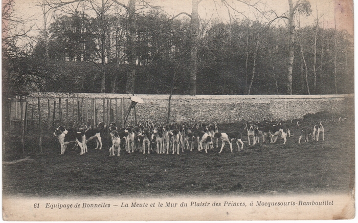 Equipage de Bonnelles Rambouillet (15)